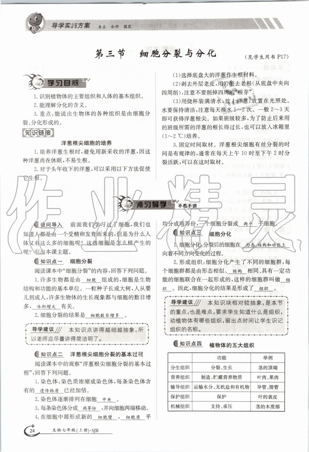 2019年金太陽導(dǎo)學(xué)案七年級生物上冊蘇教版 第24頁