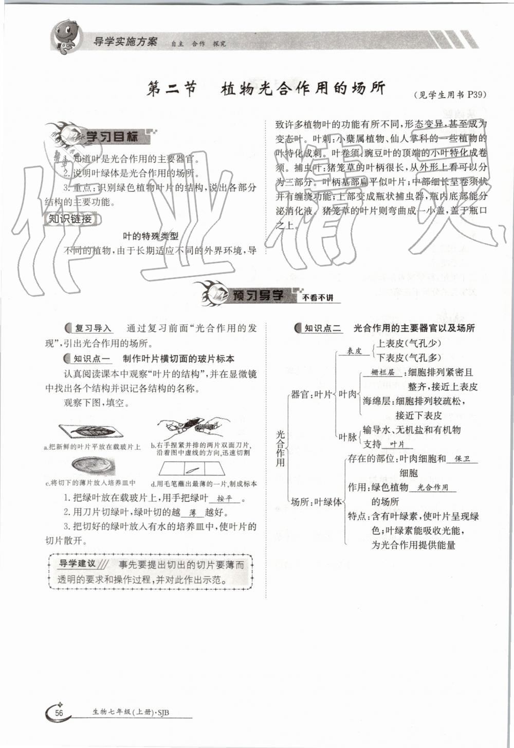 2019年金太陽導(dǎo)學(xué)案七年級生物上冊蘇教版 第56頁