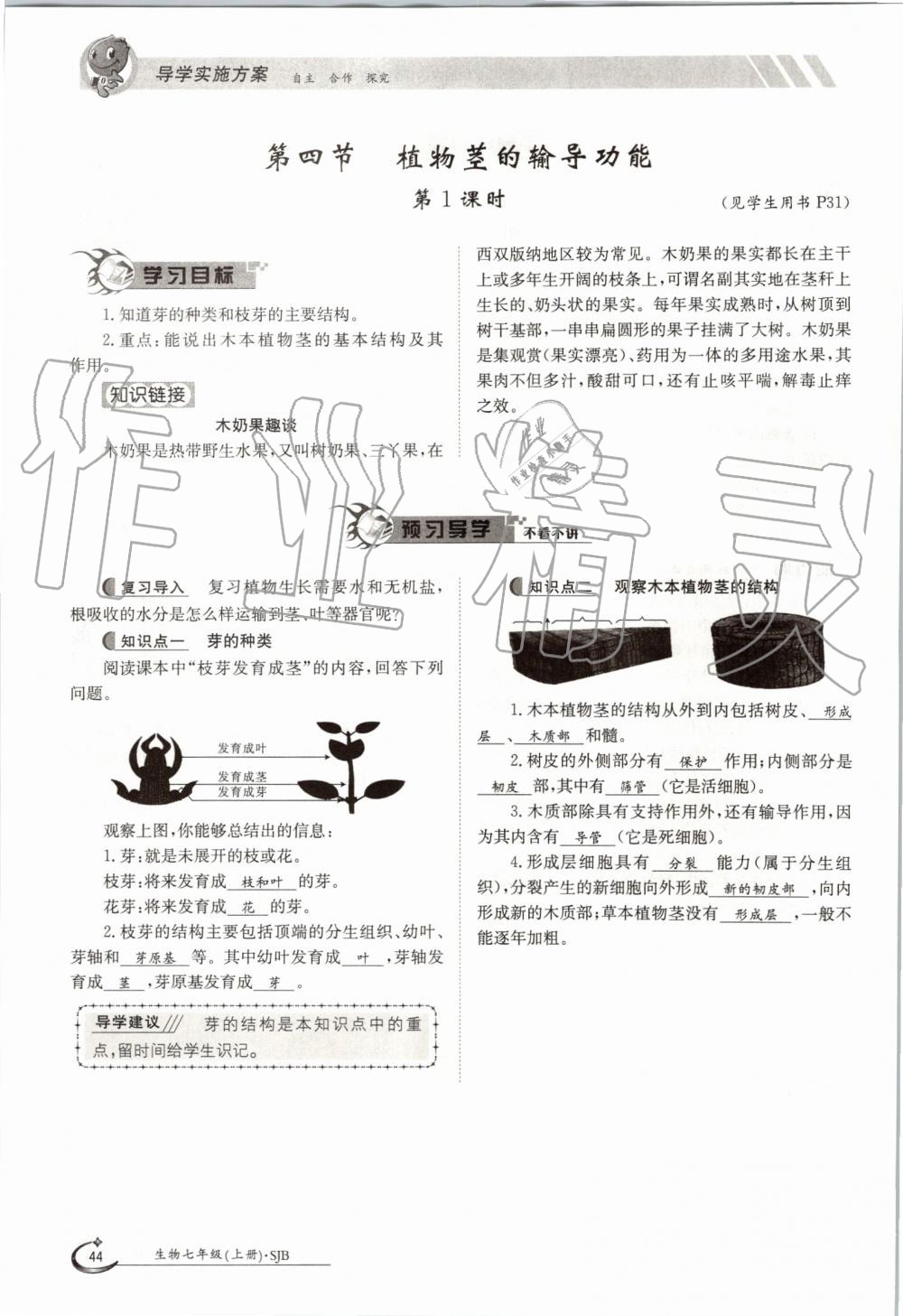 2019年金太陽導(dǎo)學(xué)案七年級(jí)生物上冊(cè)蘇教版 第44頁