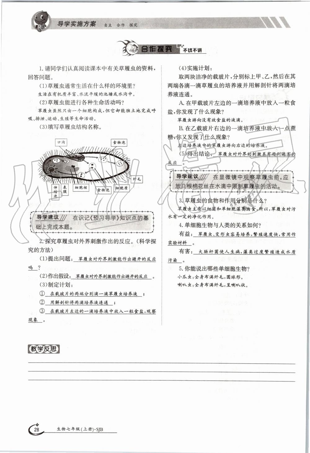 2019年金太陽(yáng)導(dǎo)學(xué)案七年級(jí)生物上冊(cè)蘇教版 第28頁(yè)