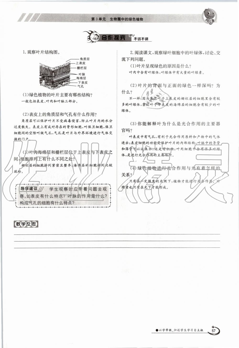 2019年金太陽導(dǎo)學(xué)案七年級生物上冊蘇教版 第57頁