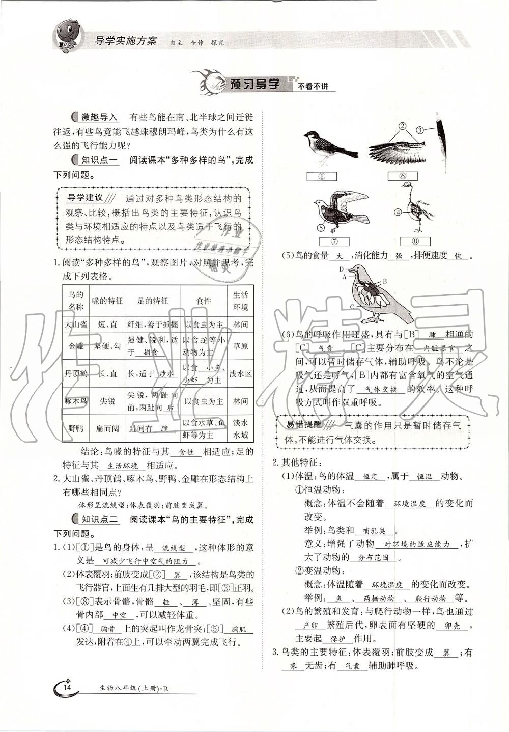 2019年金太阳导学案八年级生物上册人教版 第14页