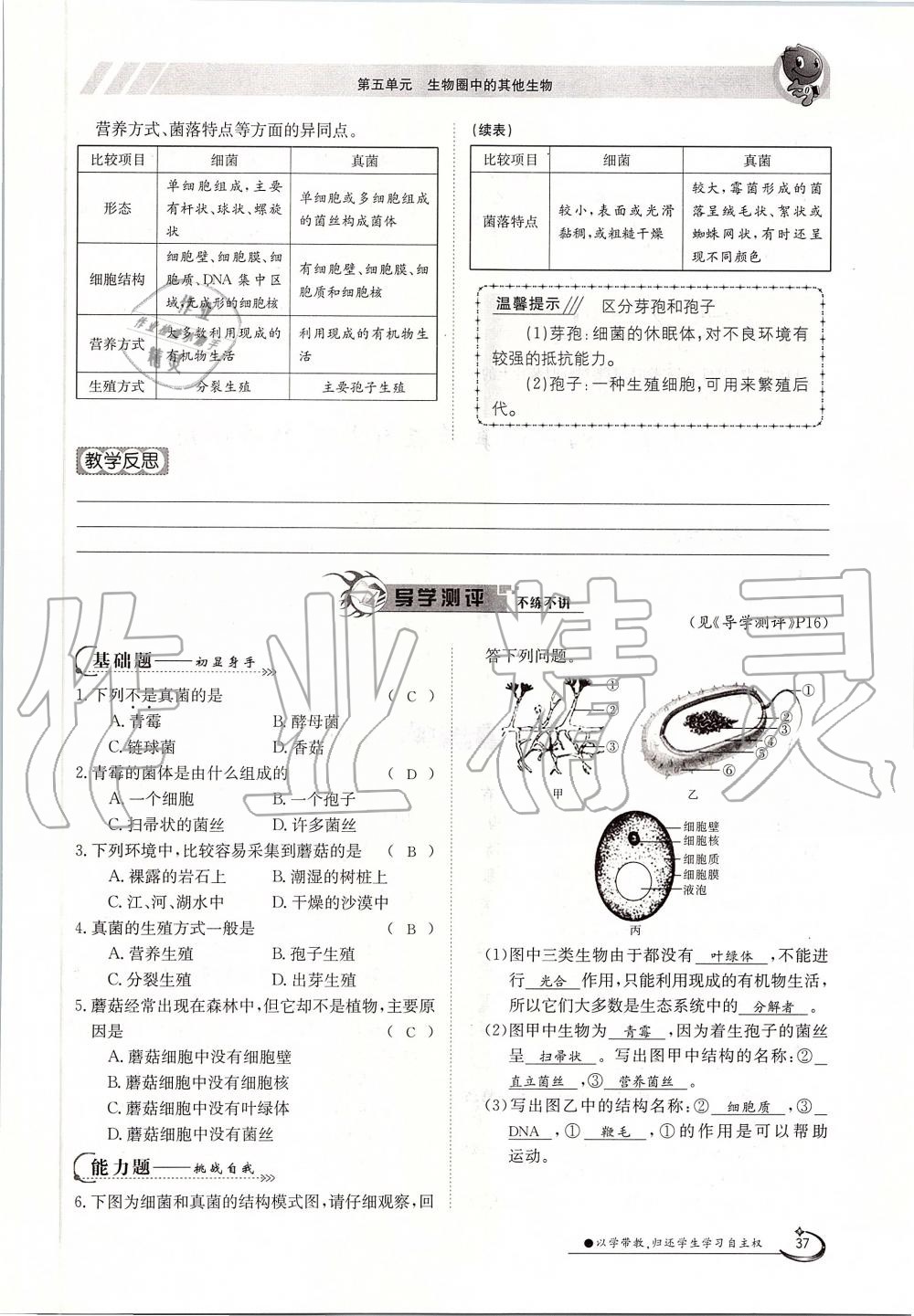 2019年金太阳导学案八年级生物上册人教版 第37页