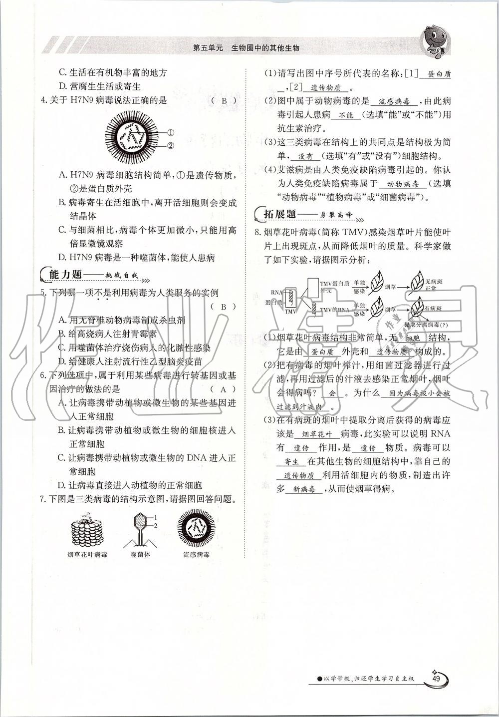 2019年金太陽導(dǎo)學(xué)案八年級生物上冊人教版 第49頁