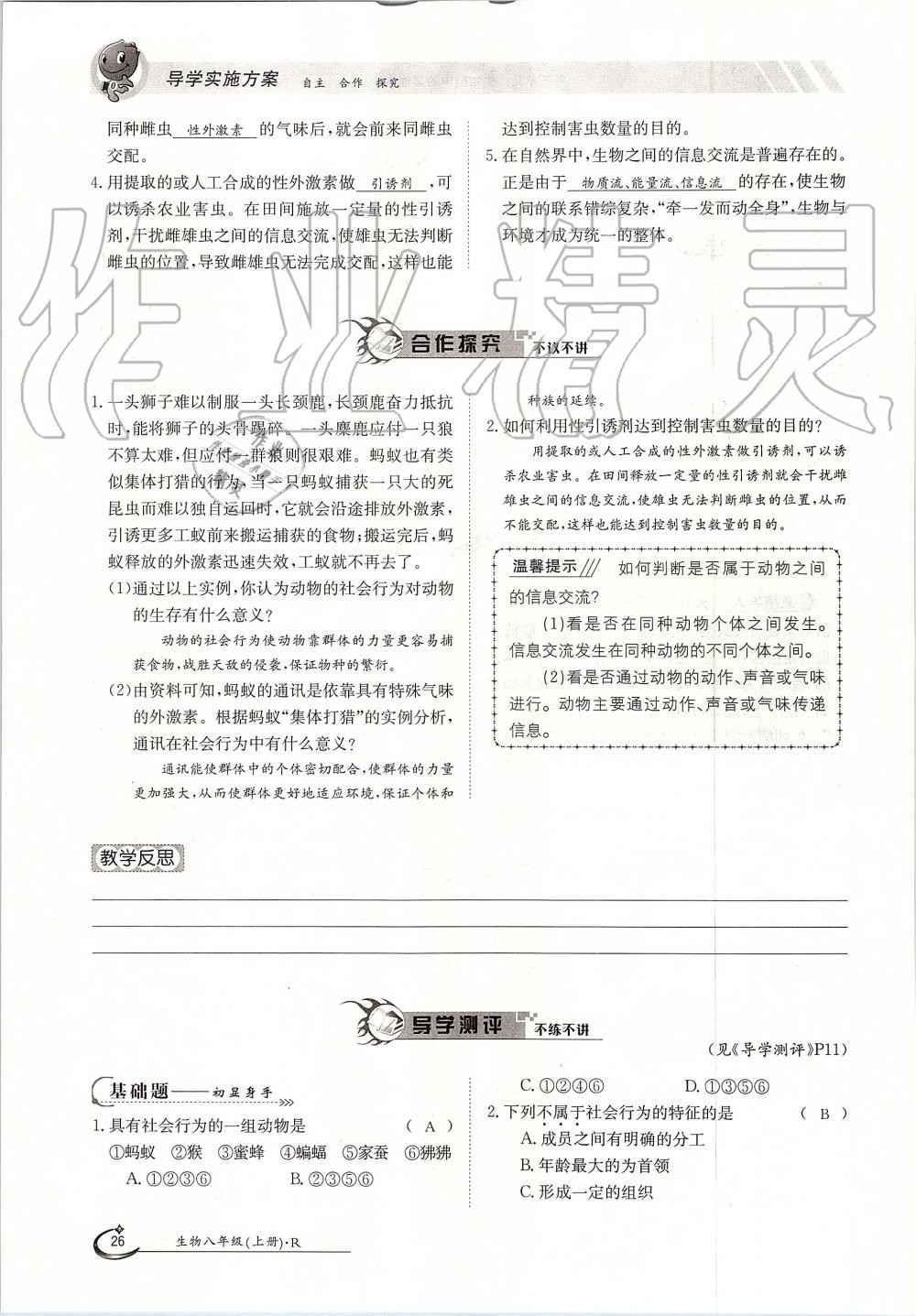 2019年金太陽導(dǎo)學(xué)案八年級生物上冊人教版 第26頁