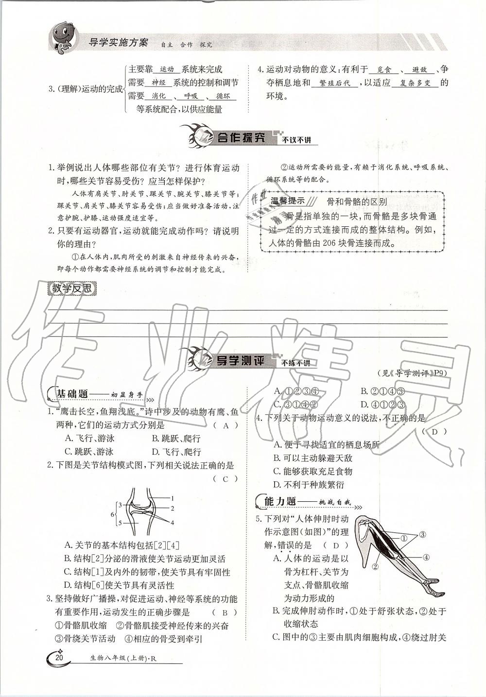 2019年金太阳导学案八年级生物上册人教版 第20页