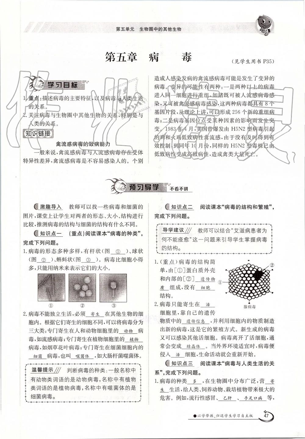 2019年金太阳导学案八年级生物上册人教版 第47页