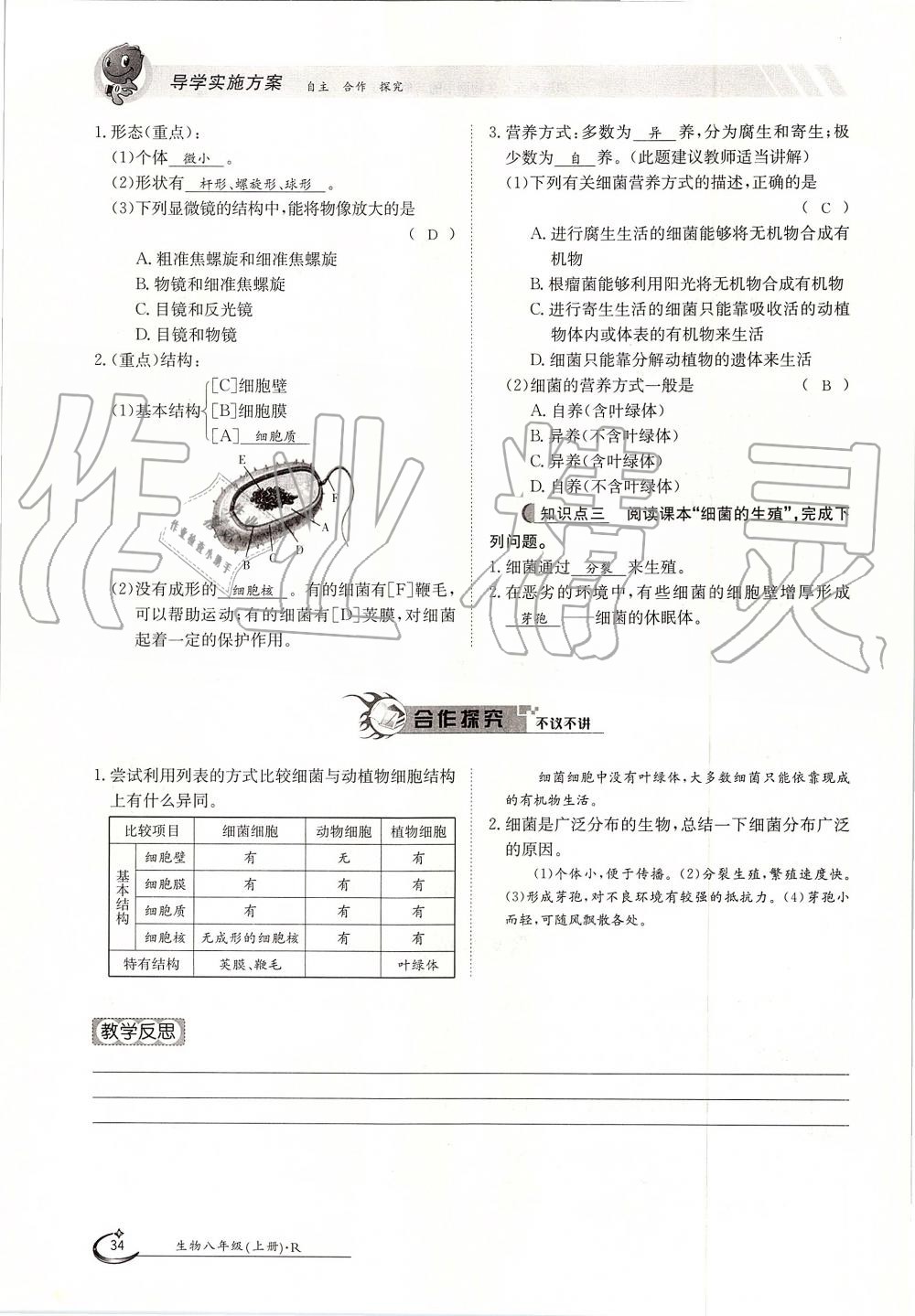 2019年金太阳导学案八年级生物上册人教版 第34页