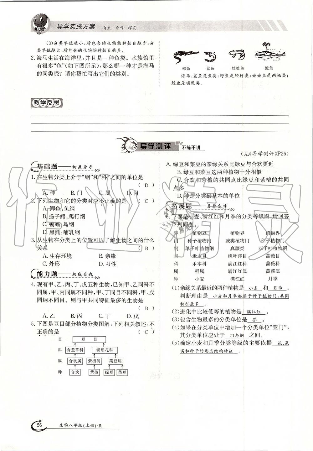 2019年金太阳导学案八年级生物上册人教版 第56页