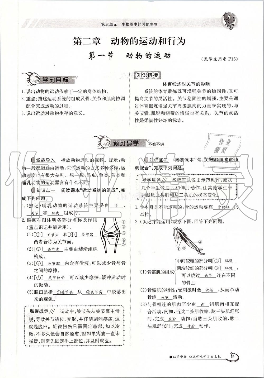 2019年金太陽(yáng)導(dǎo)學(xué)案八年級(jí)生物上冊(cè)人教版 第19頁(yè)