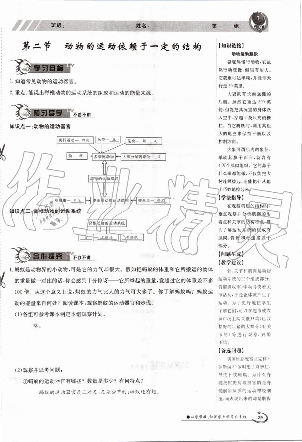 2019年金太陽導(dǎo)學(xué)案八年級生物上冊蘇教版 第29頁