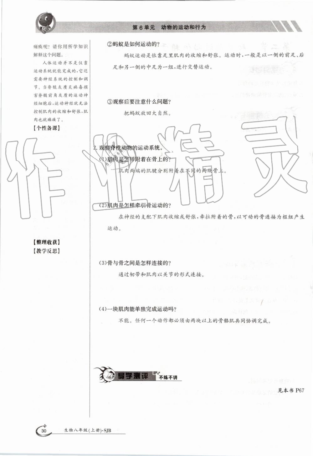 2019年金太陽導(dǎo)學案八年級生物上冊蘇教版 第30頁