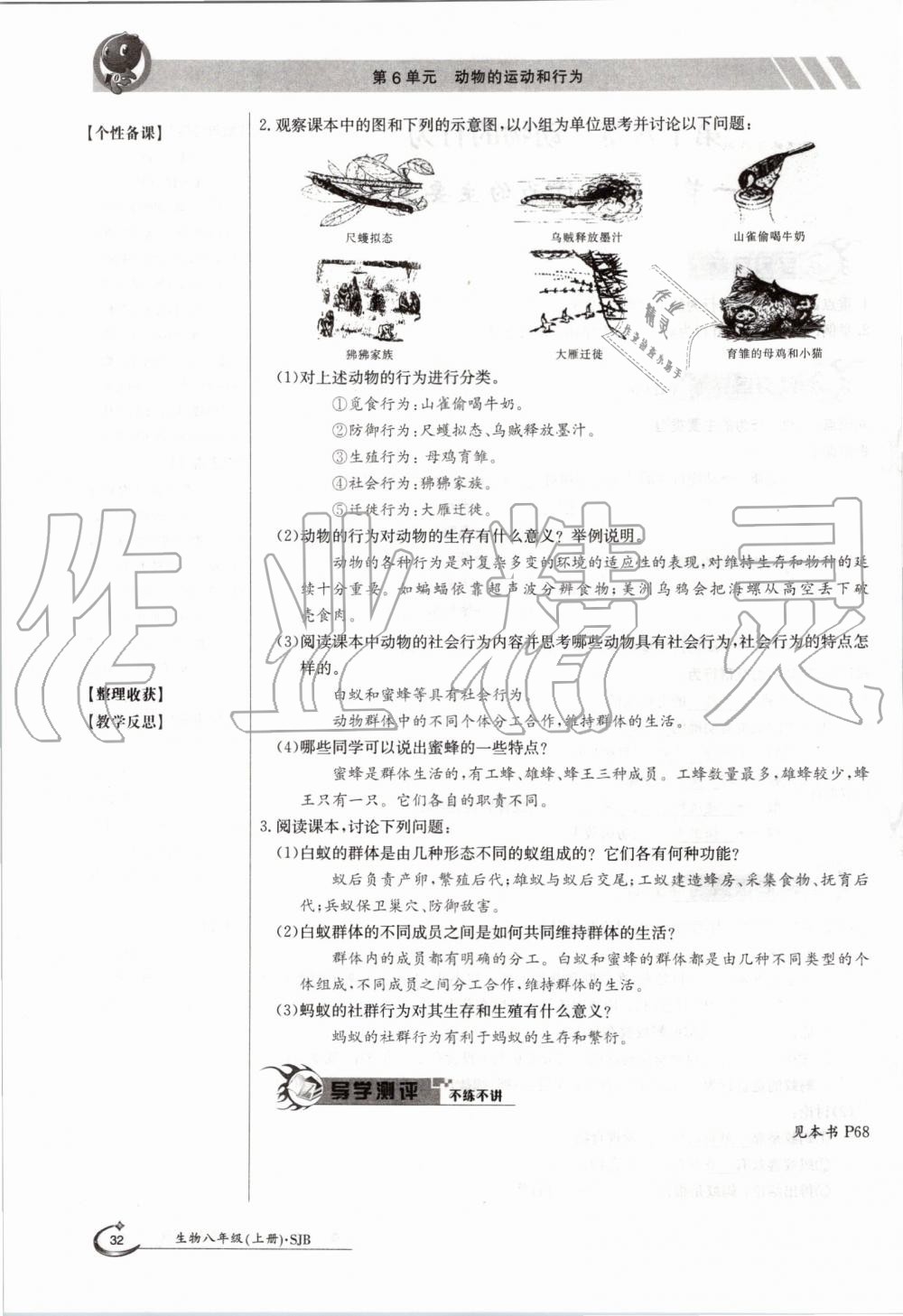 2019年金太陽導(dǎo)學(xué)案八年級生物上冊蘇教版 第32頁