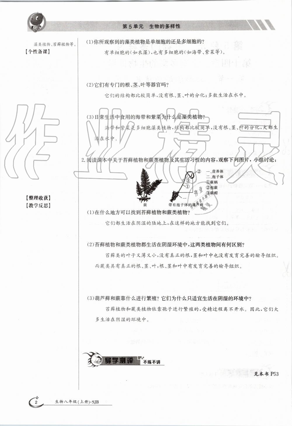 2019年金太陽導學案八年級生物上冊蘇教版 第2頁