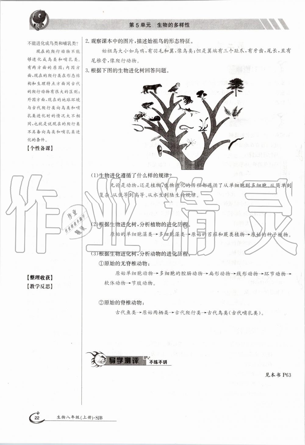 2019年金太陽導學案八年級生物上冊蘇教版 第22頁