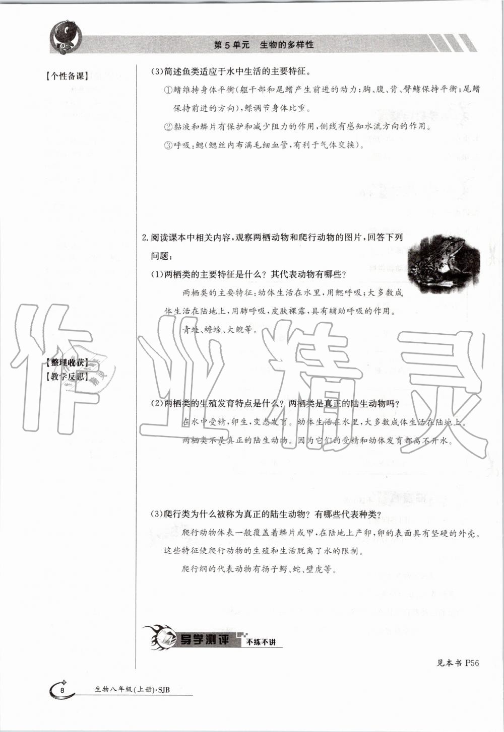 2019年金太陽導(dǎo)學(xué)案八年級生物上冊蘇教版 第8頁