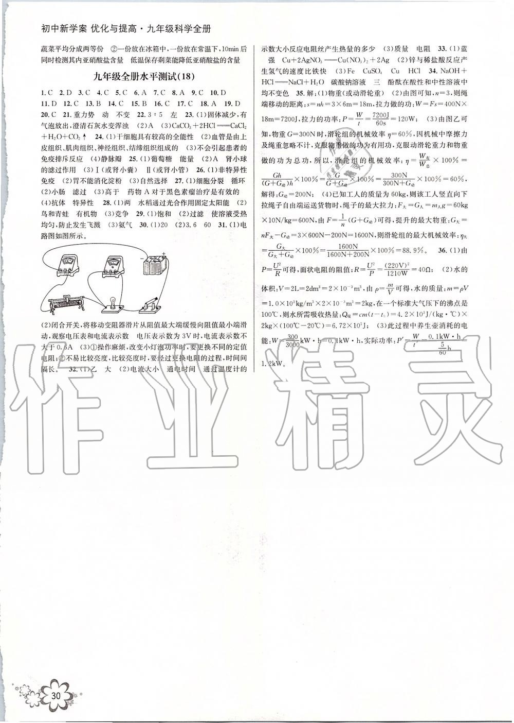 2019年初中新學案優(yōu)化與提高九年級科學全一冊浙教版 第30頁