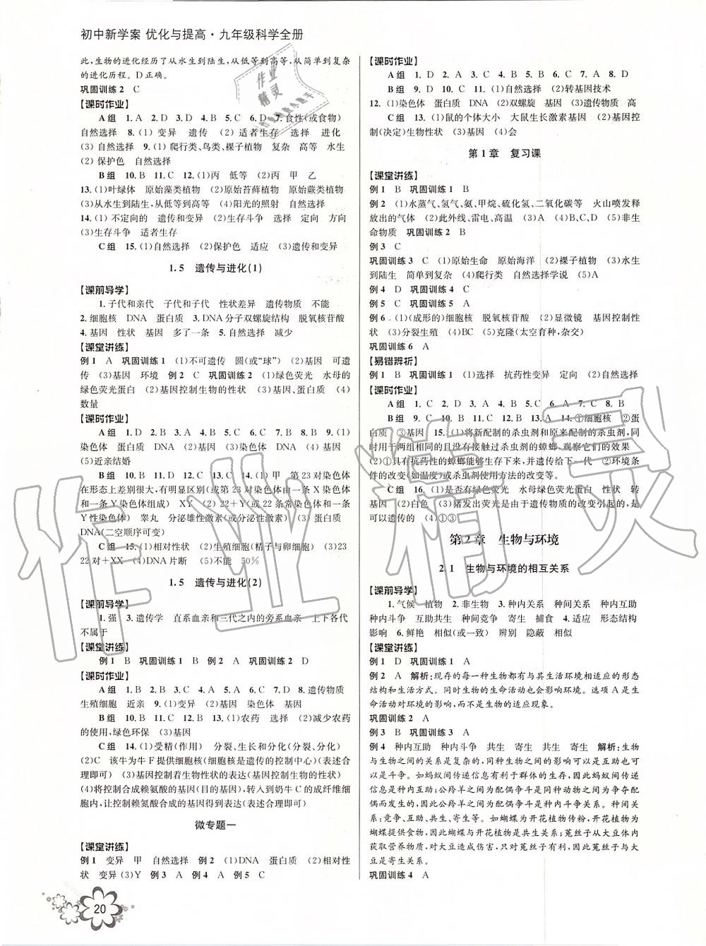 2019年初中新學(xué)案優(yōu)化與提高九年級(jí)科學(xué)全一冊(cè)浙教版 第20頁