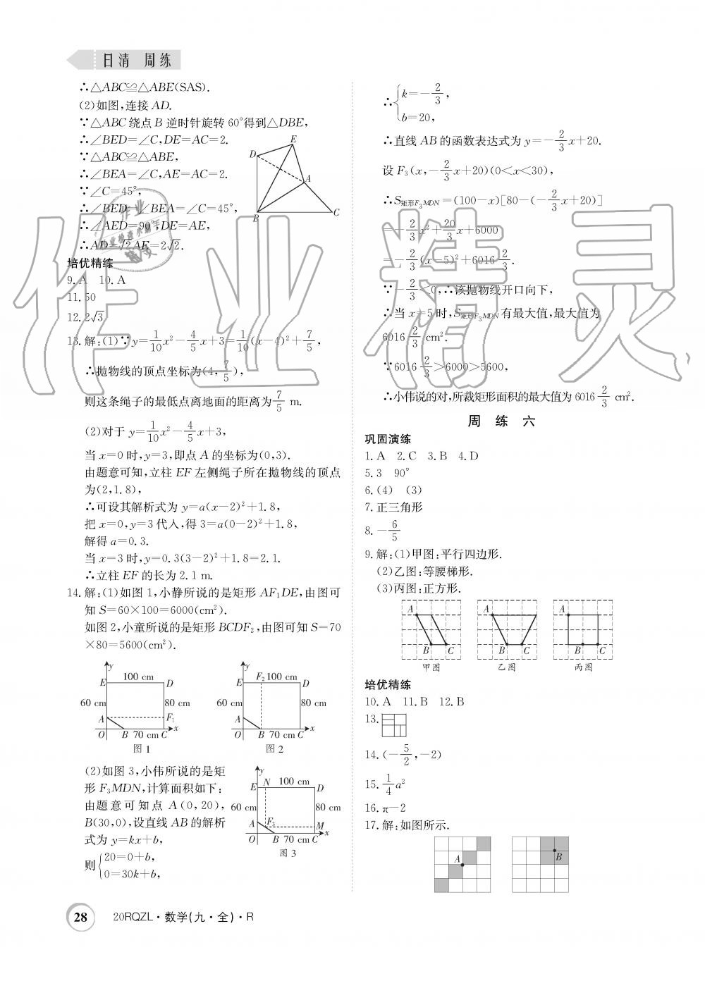 2019年日清周練限時(shí)提升卷九年級(jí)數(shù)學(xué)全一冊(cè)人教版 第28頁