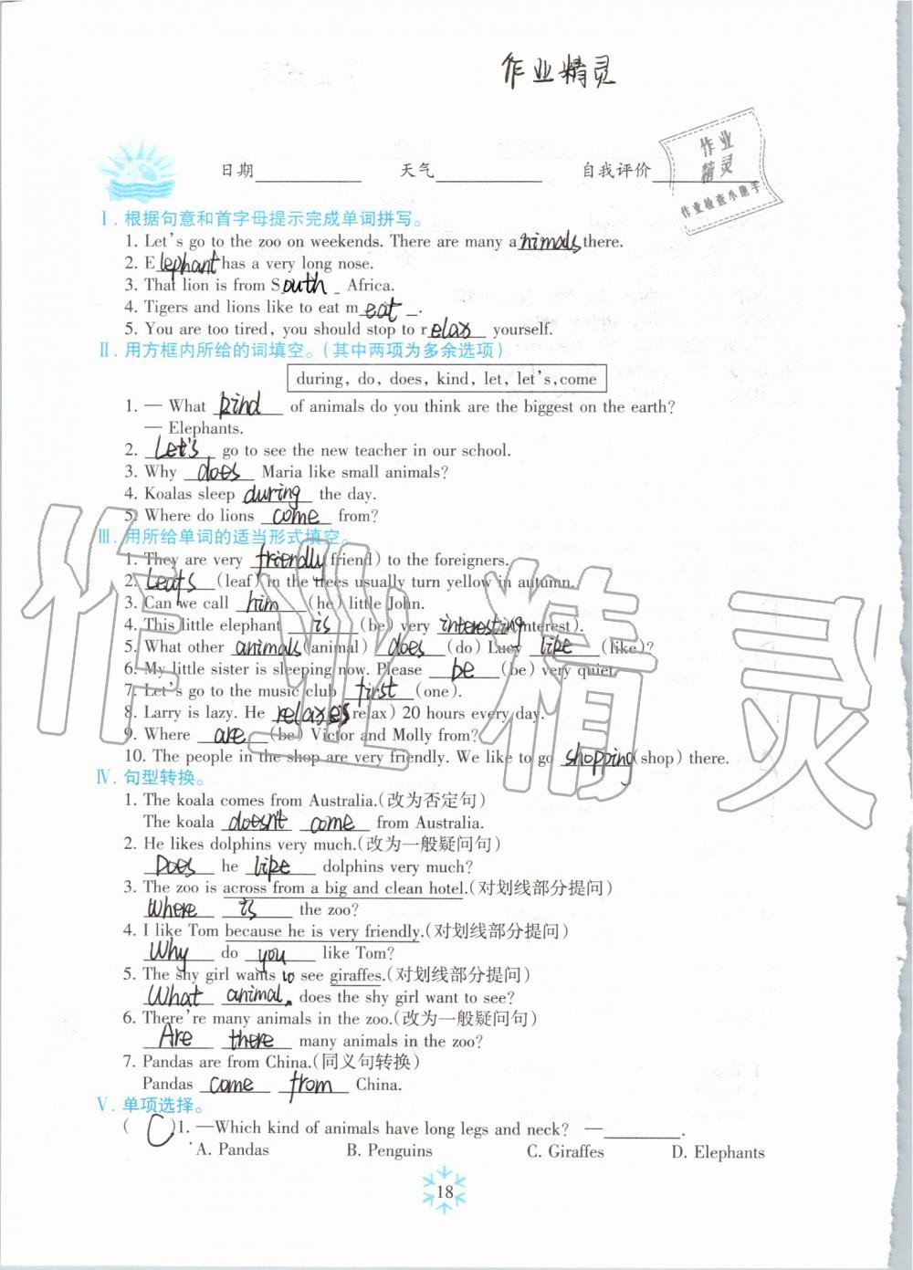 2019年高效课堂暑假作业七年级英语新疆青少年出版社 第17页