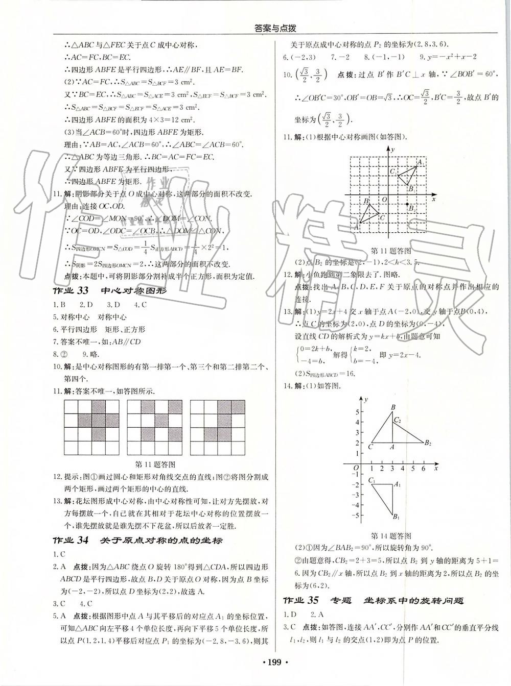 2019年啟東中學作業(yè)本九年級數(shù)學上冊人教版 第19頁