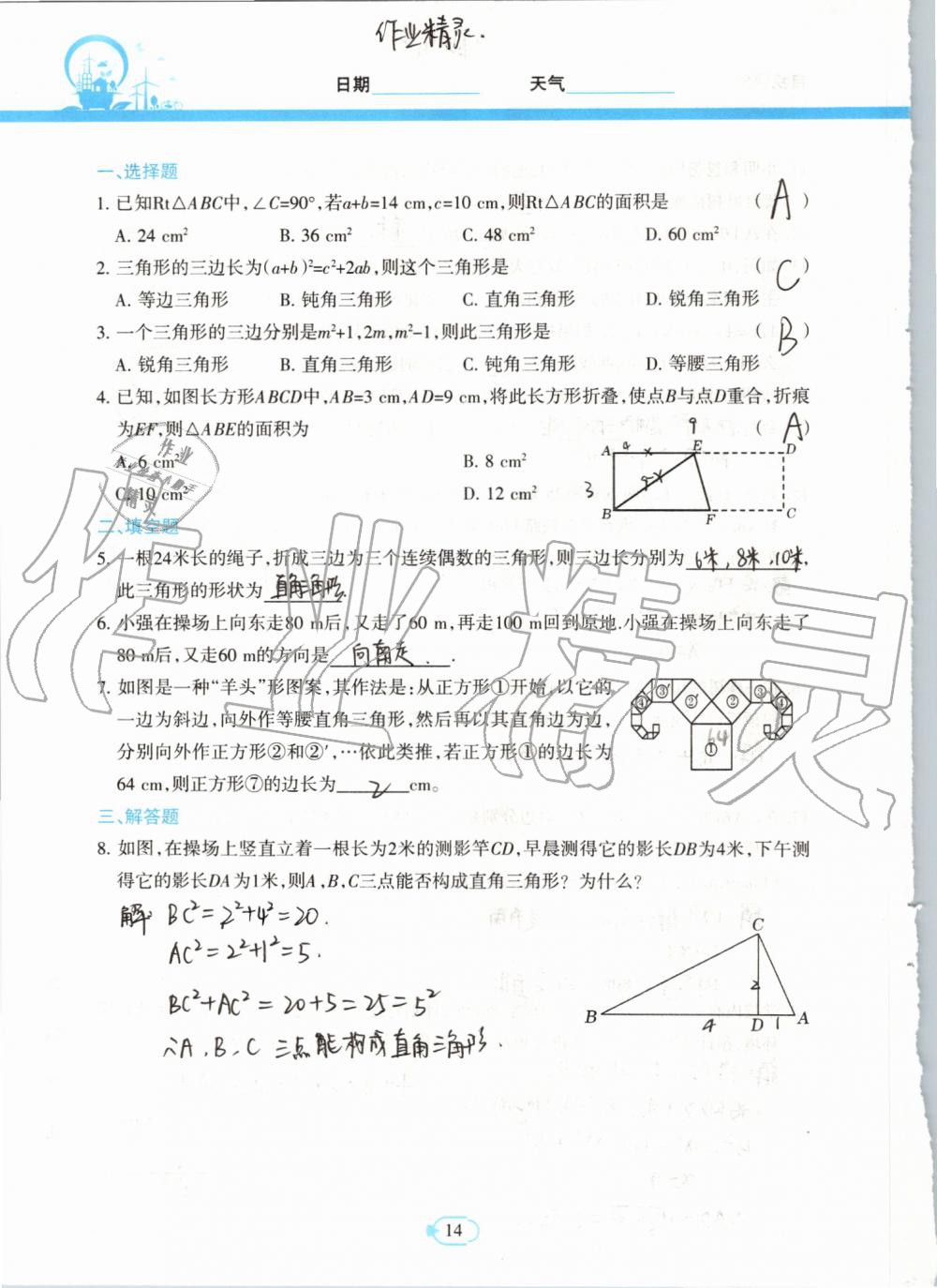 2019年高效課堂暑假作業(yè)八年級數(shù)學(xué)新疆青少年出版社 第13頁