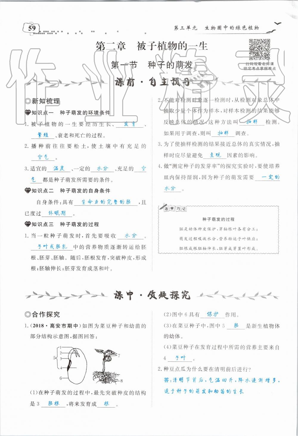 2019年351高效课堂导学案七年级生物上册人教版 第59页