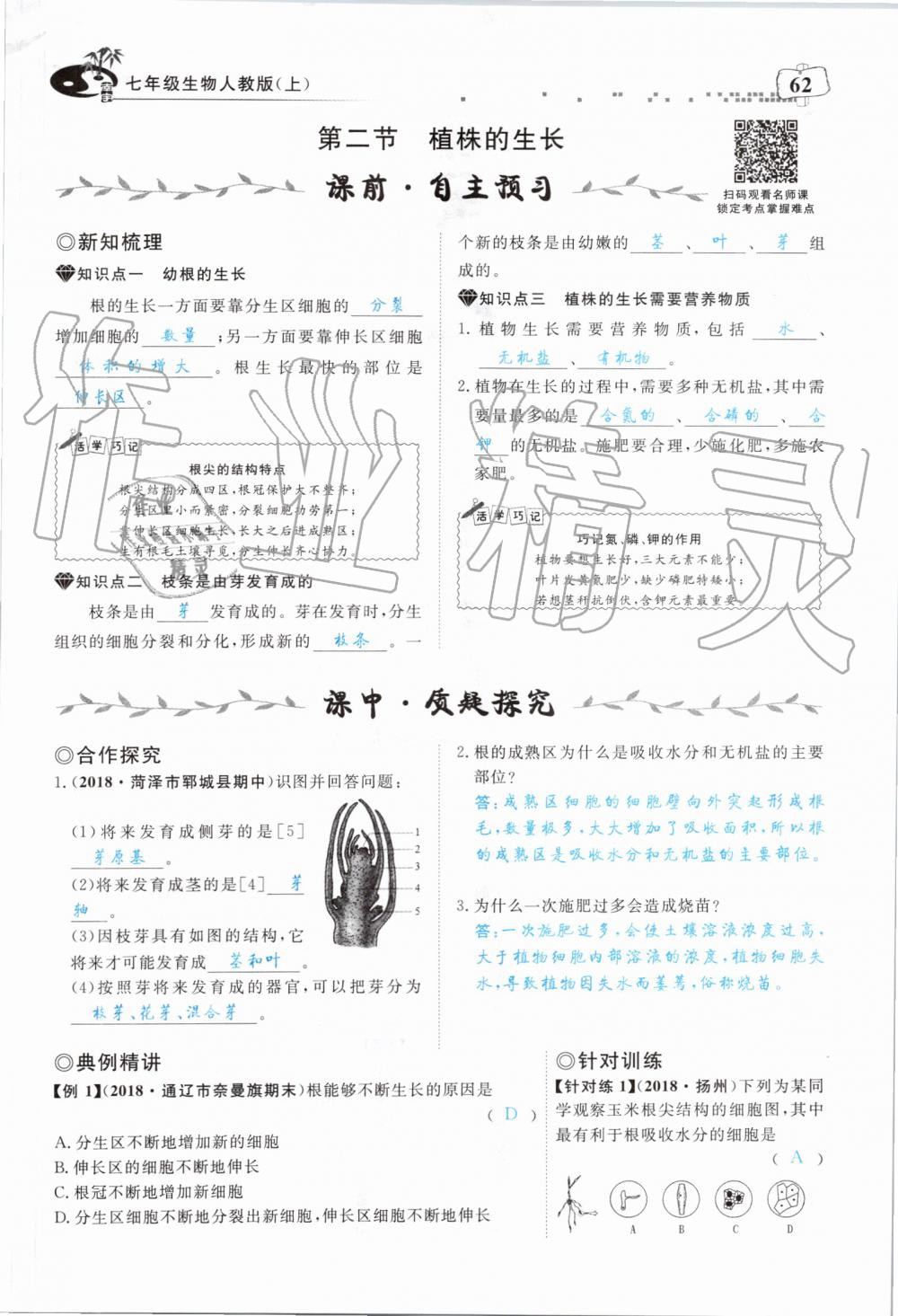 2019年351高效课堂导学案七年级生物上册人教版 第62页