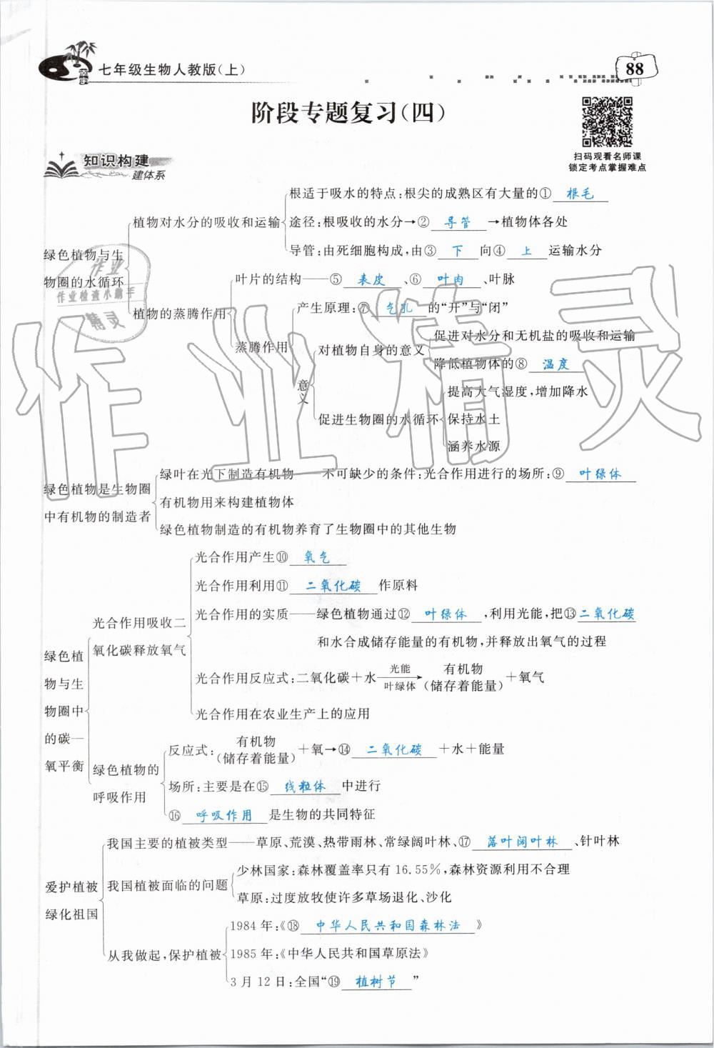 2019年351高效课堂导学案七年级生物上册人教版 第88页