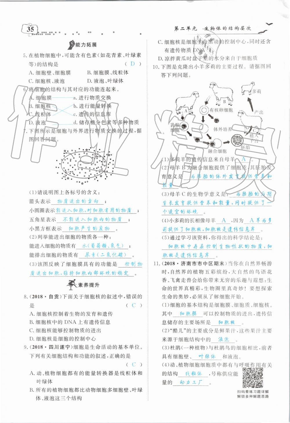 2019年351高效課堂導(dǎo)學(xué)案七年級生物上冊人教版 第35頁