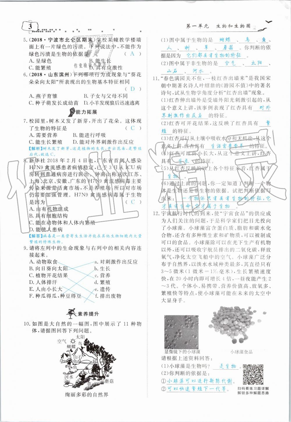 2019年351高效课堂导学案七年级生物上册人教版 第3页