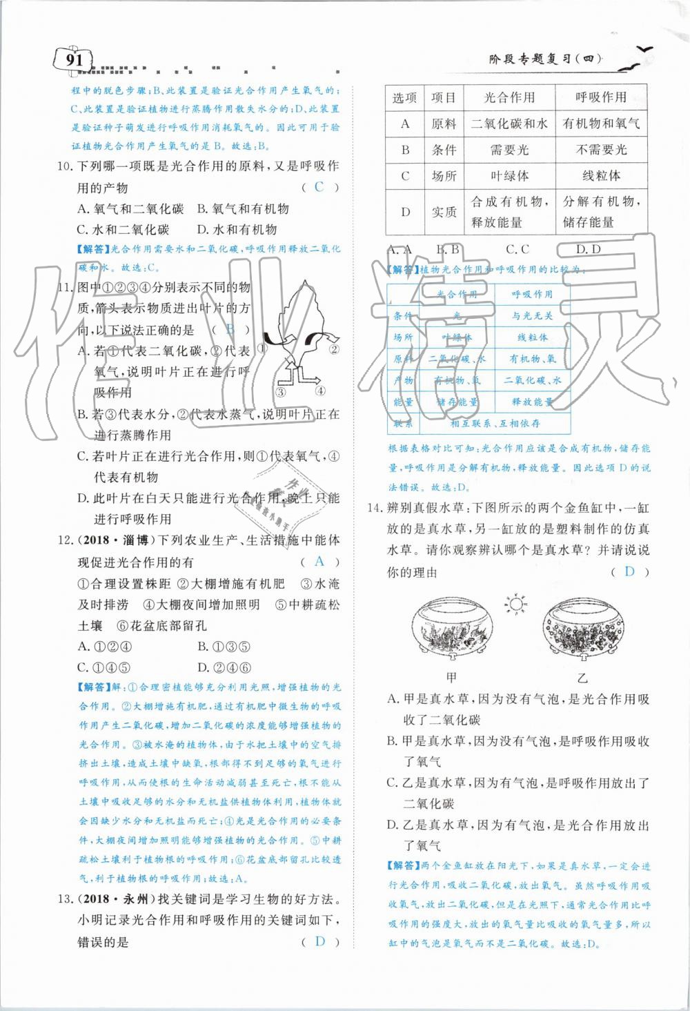 2019年351高效课堂导学案七年级生物上册人教版 第91页