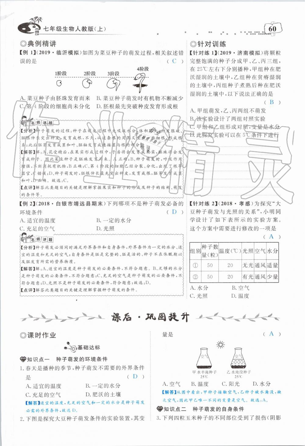 2019年351高效課堂導學案七年級生物上冊人教版 第60頁