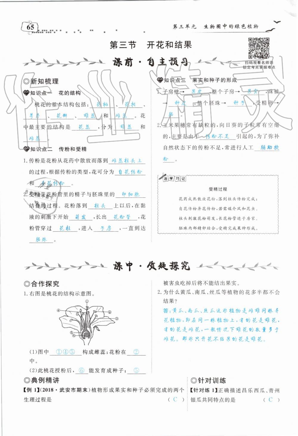 2019年351高效课堂导学案七年级生物上册人教版 第65页