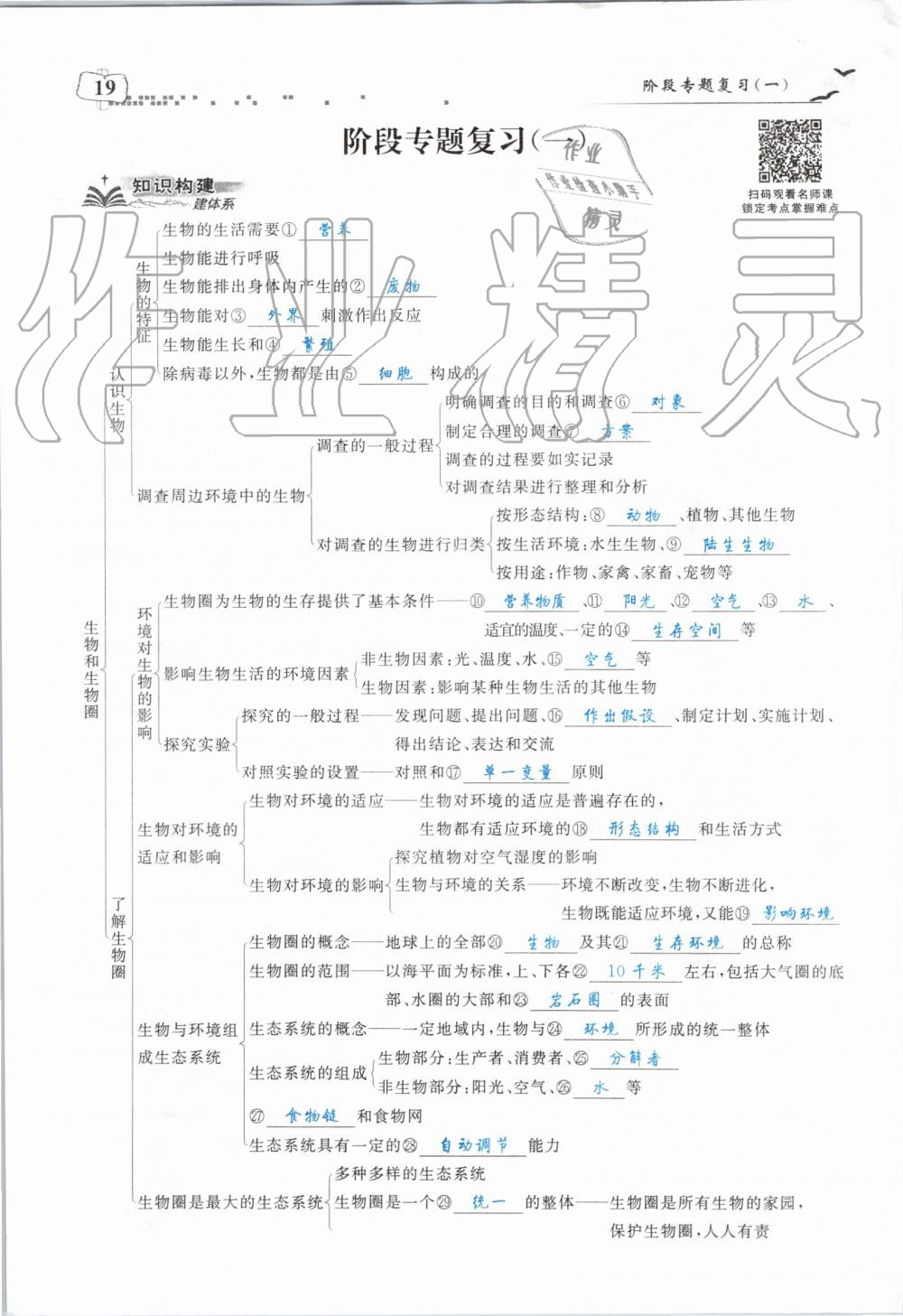 2019年351高效課堂導(dǎo)學(xué)案七年級(jí)生物上冊(cè)人教版 第19頁