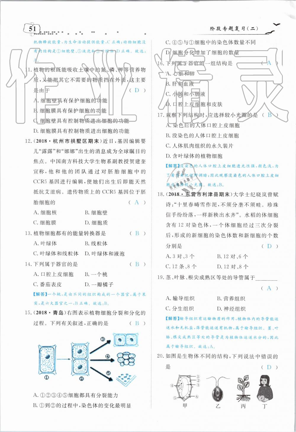 2019年351高效课堂导学案七年级生物上册人教版 第51页