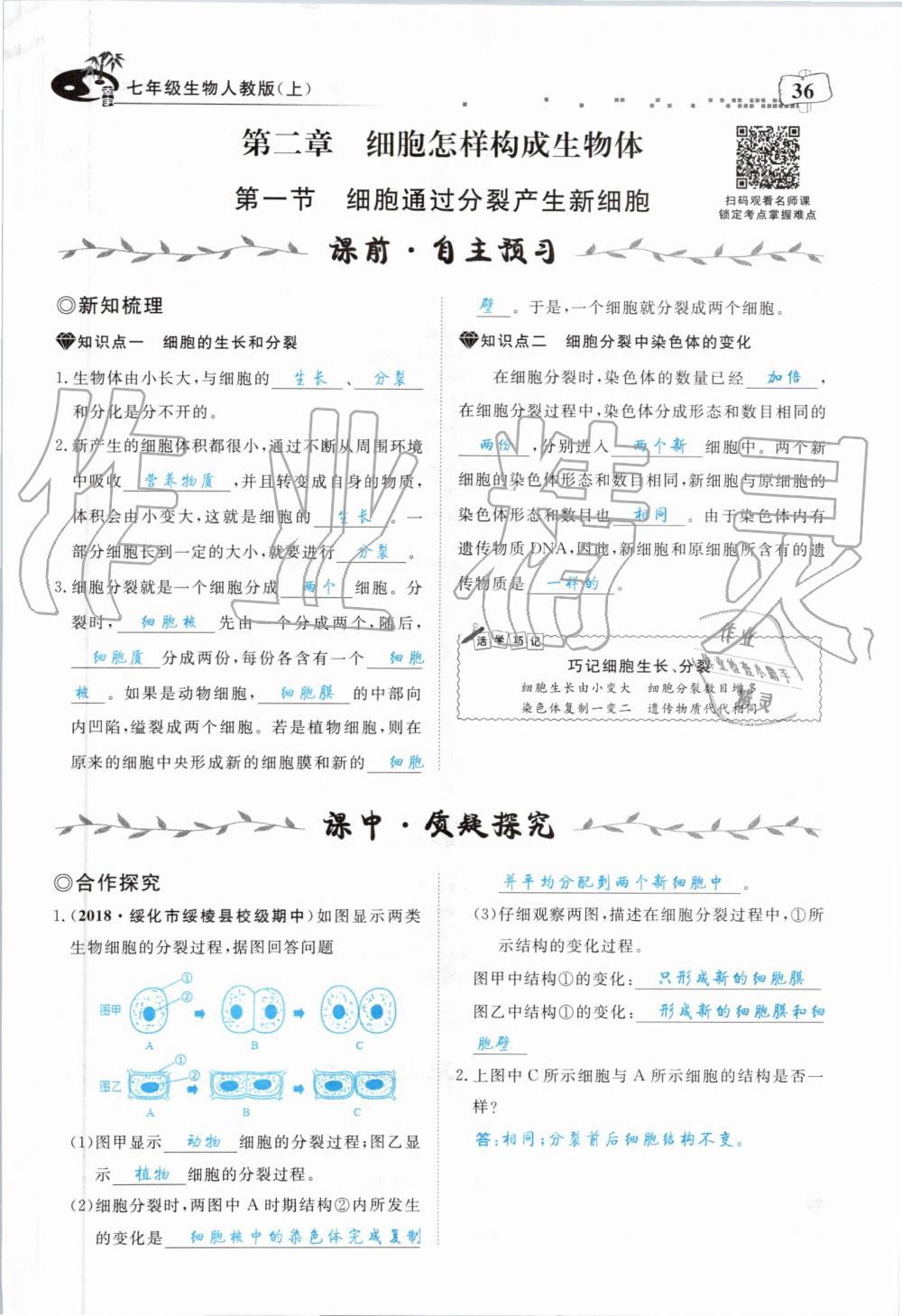 2019年351高效课堂导学案七年级生物上册人教版 第36页