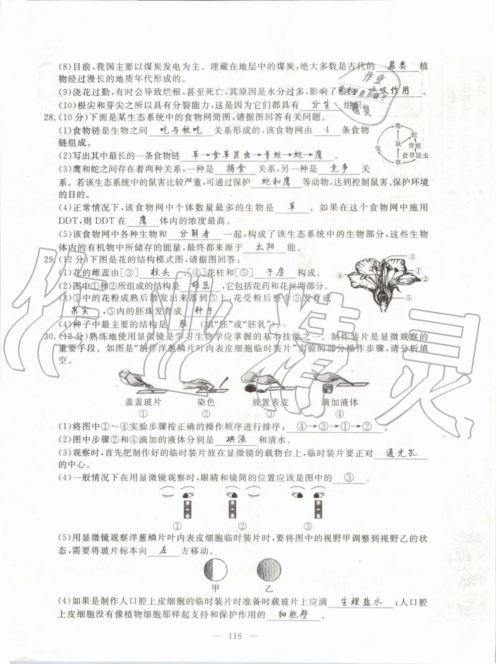 2019年351高效課堂導(dǎo)學(xué)案七年級生物上冊人教版 第155頁