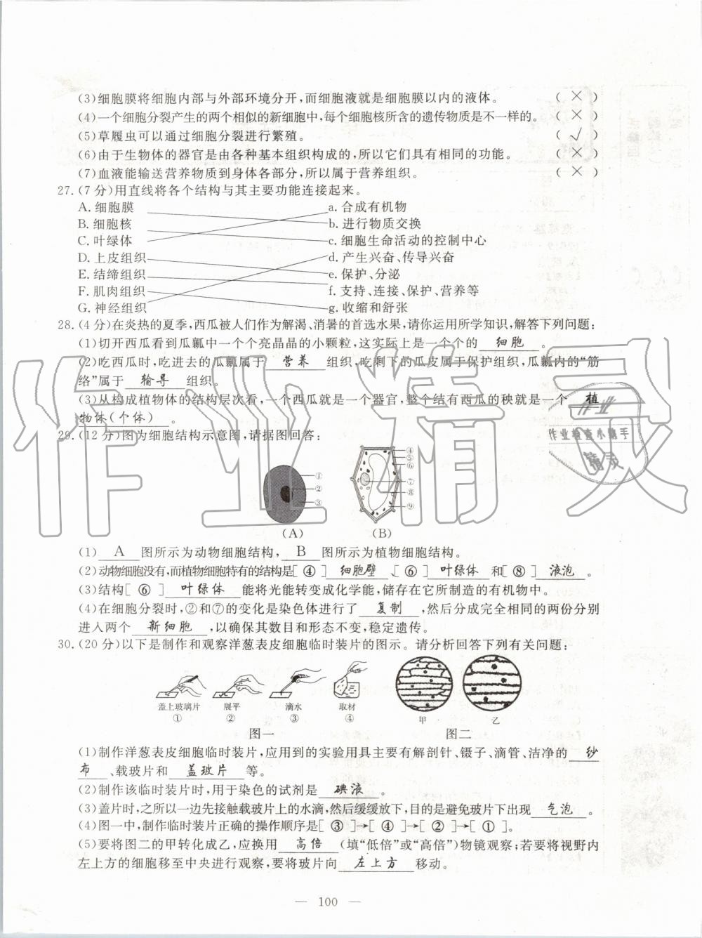 2019年351高效课堂导学案七年级生物上册人教版 第139页