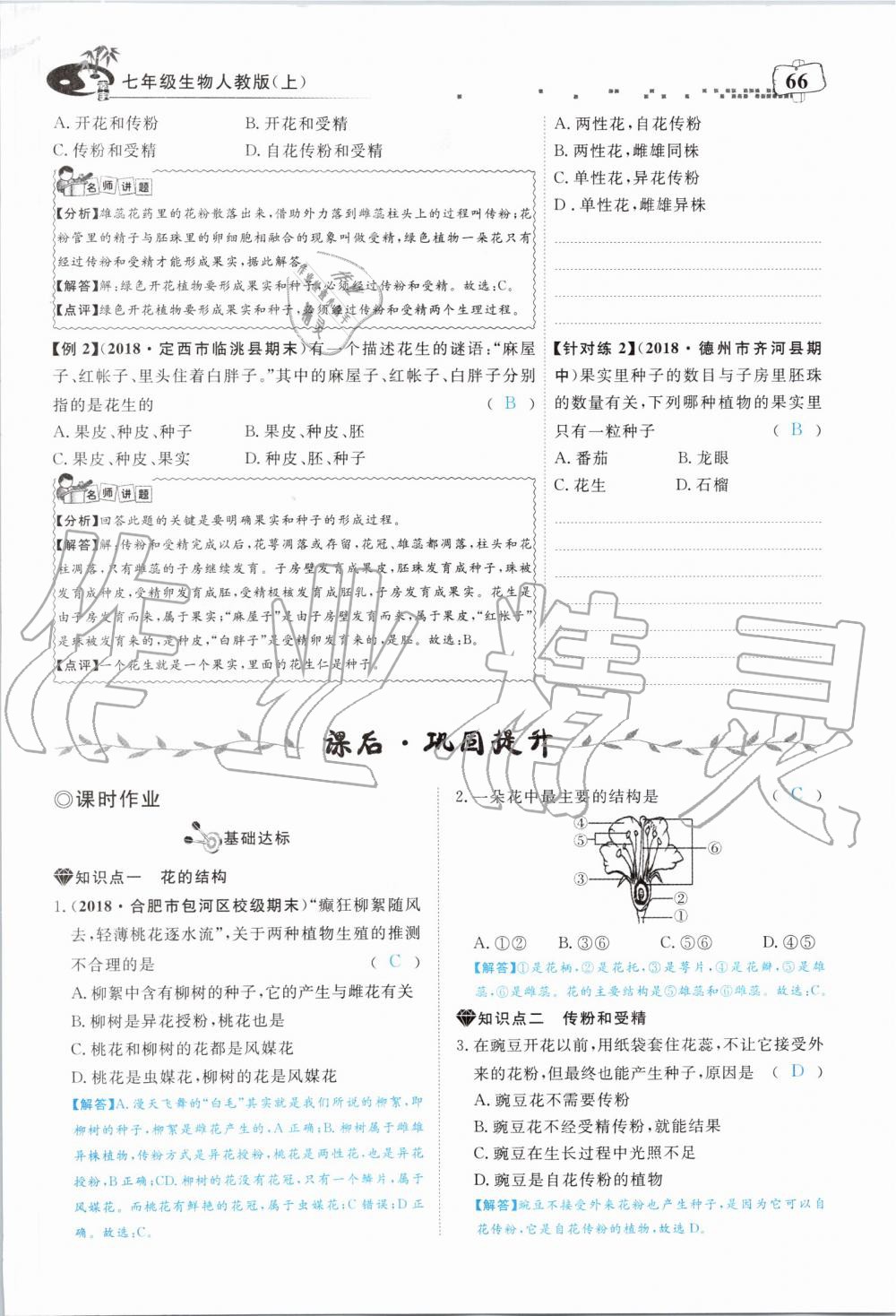 2019年351高效课堂导学案七年级生物上册人教版 第66页