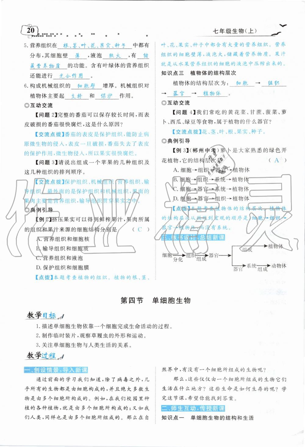 2019年351高效課堂導(dǎo)學(xué)案七年級(jí)生物上冊(cè)人教版 第112頁(yè)