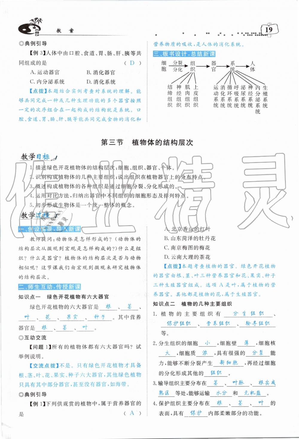 2019年351高效课堂导学案七年级生物上册人教版 第111页