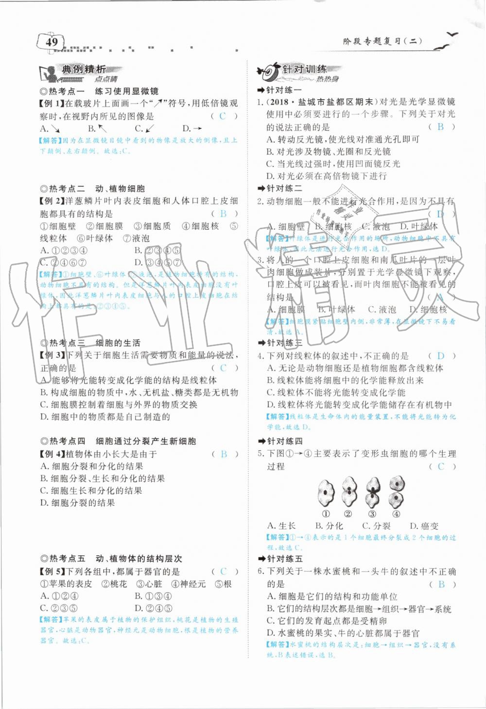 2019年351高效课堂导学案七年级生物上册人教版 第49页