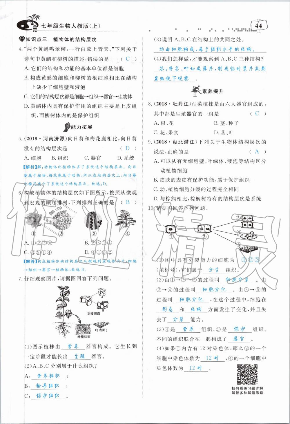 2019年351高效课堂导学案七年级生物上册人教版 第44页