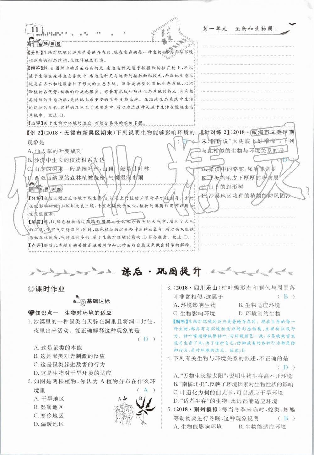 2019年351高效課堂導(dǎo)學(xué)案七年級(jí)生物上冊人教版 第11頁