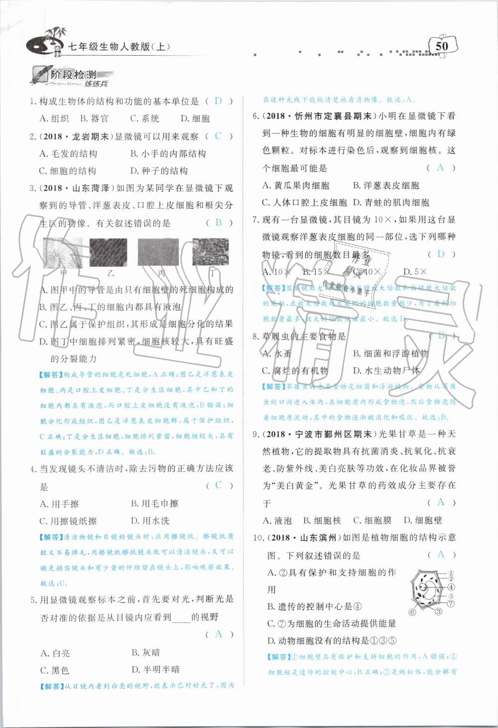 2019年351高效課堂導學案七年級生物上冊人教版 第50頁