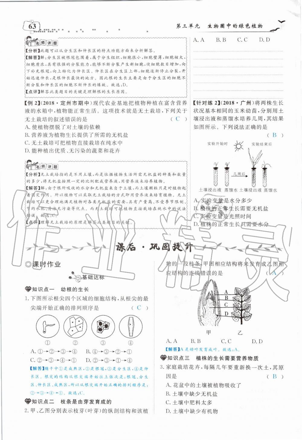 2019年351高效課堂導學案七年級生物上冊人教版 第63頁