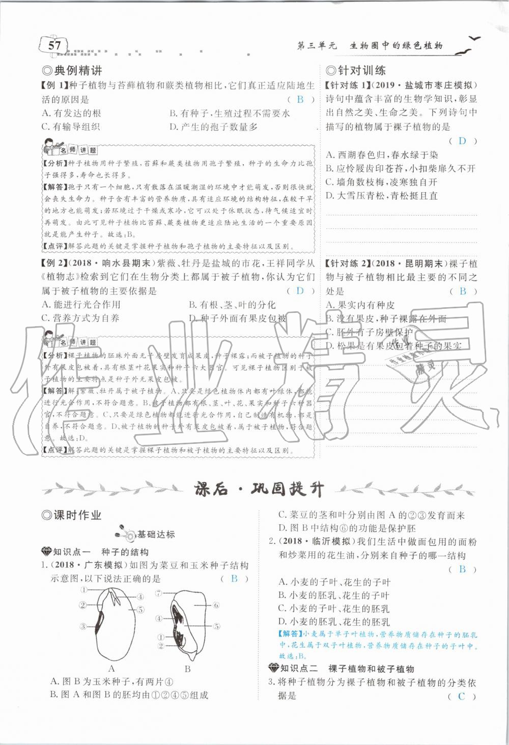 2019年351高效课堂导学案七年级生物上册人教版 第57页