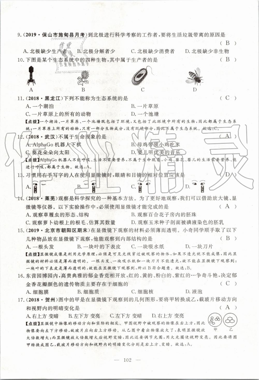 2019年351高效課堂導(dǎo)學(xué)案七年級生物上冊人教版 第141頁