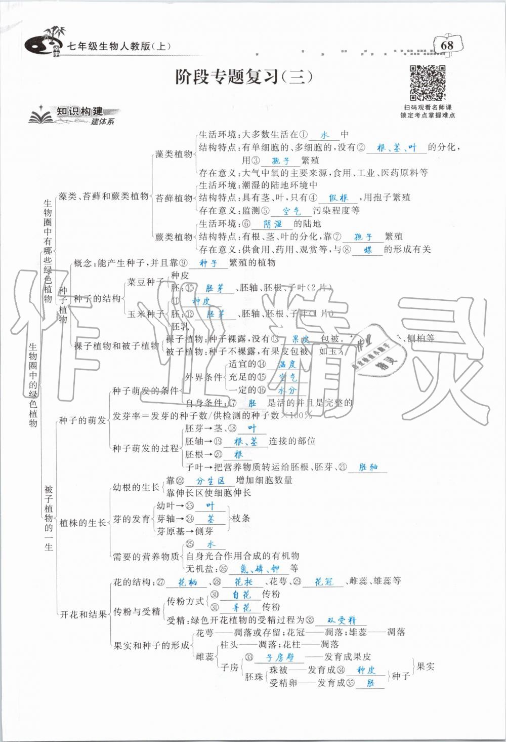 2019年351高效课堂导学案七年级生物上册人教版 第68页